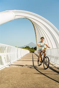 Cycling Te Rewa Rewa Bridge 2022 Roady (8)